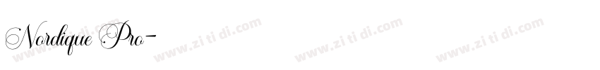 Nordique Pro字体转换
